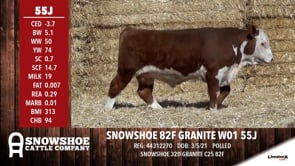 Lot #55J - SNOWSHOE 82F GRANITE W01 55J