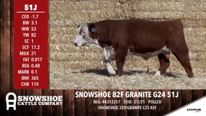 Lot #51J - SNOWSHOE 82F GRANITE G24 51J
