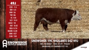 Lot #49J - SNOWSHOE 19C VIGILANTE E42 49J
