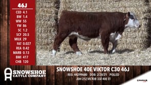 Lot #46J - SNOWSHOE 40E VIKTOR C30 46J