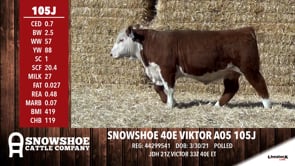 Lot #105J - SNOWSHOE 40E VIKTOR A05 105J