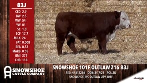 Lot #83J - SNOWSHOE 101F OUTLAW Z16 83J