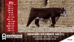 Lot #37J - SNOWSHOE 82F GRANITE G84 37J