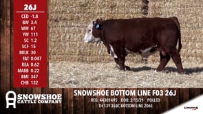 Lot #26J - SNOWSHOE BOTTOM LINE F03 26J