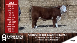 Lot #21J - SNOWSHOE 82F GRANITE E14 21J
