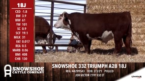 Lot #18J - SNOWSHOE 33Z TRIUMPH A28 18J