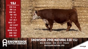 Lot #15J - SNOWSHOE 290E NATURAL E38 15J