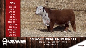 Lot #11J - SNOWSHOE MONTGOMERY U09 11J