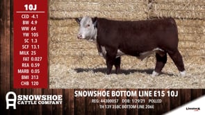 Lot #10J - SNOWSHOE BOTTOM LINE E15 10J