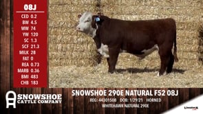 Lot #08J - SNOWSHOE 290E NATURAL F52 08J