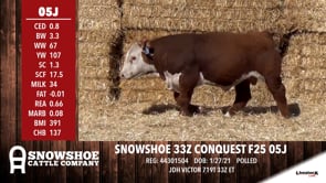 Lot #05J - SNOWSHOE 33Z CONQUEST F25 05J