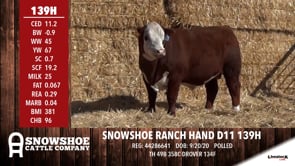 Lot #139H - SNOWSHOE RANCH HAND D11 139H