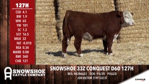 Lot #127H - SNOWSHOE 33Z CONQUEST D60 127H