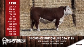 Lot #119H - SNOWSHOE BOTTOM LINE D26 119H