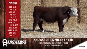 Lot #113H - SNOWSHOE 33Z VIC C14 113H
