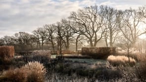 Winter Gardens