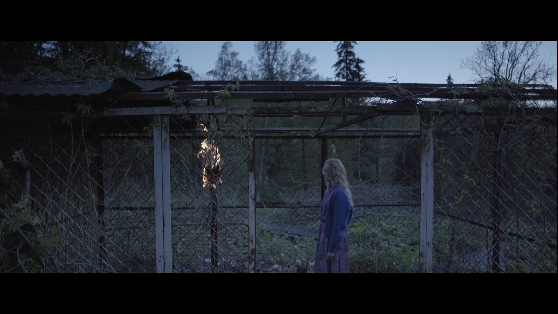 Emily - Frozen Garden