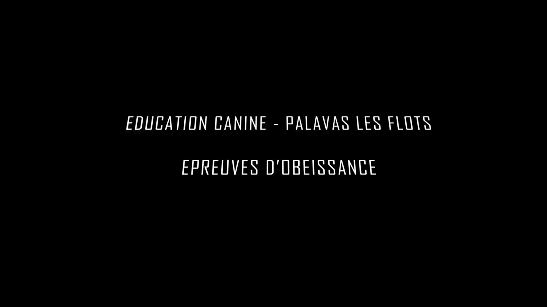 Education canine - Epreuves d'obéissance