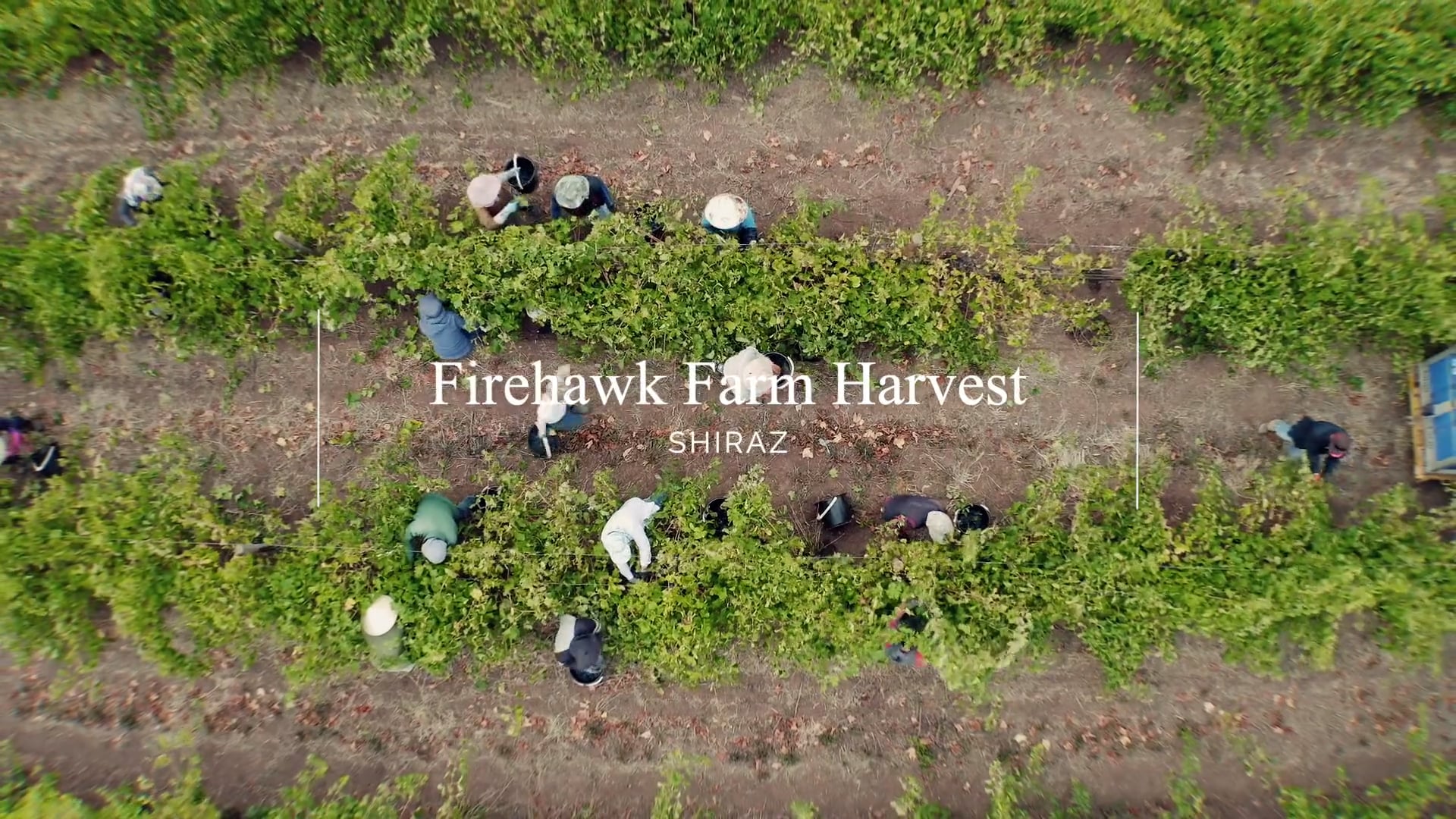 Firehawk Farm Harvest