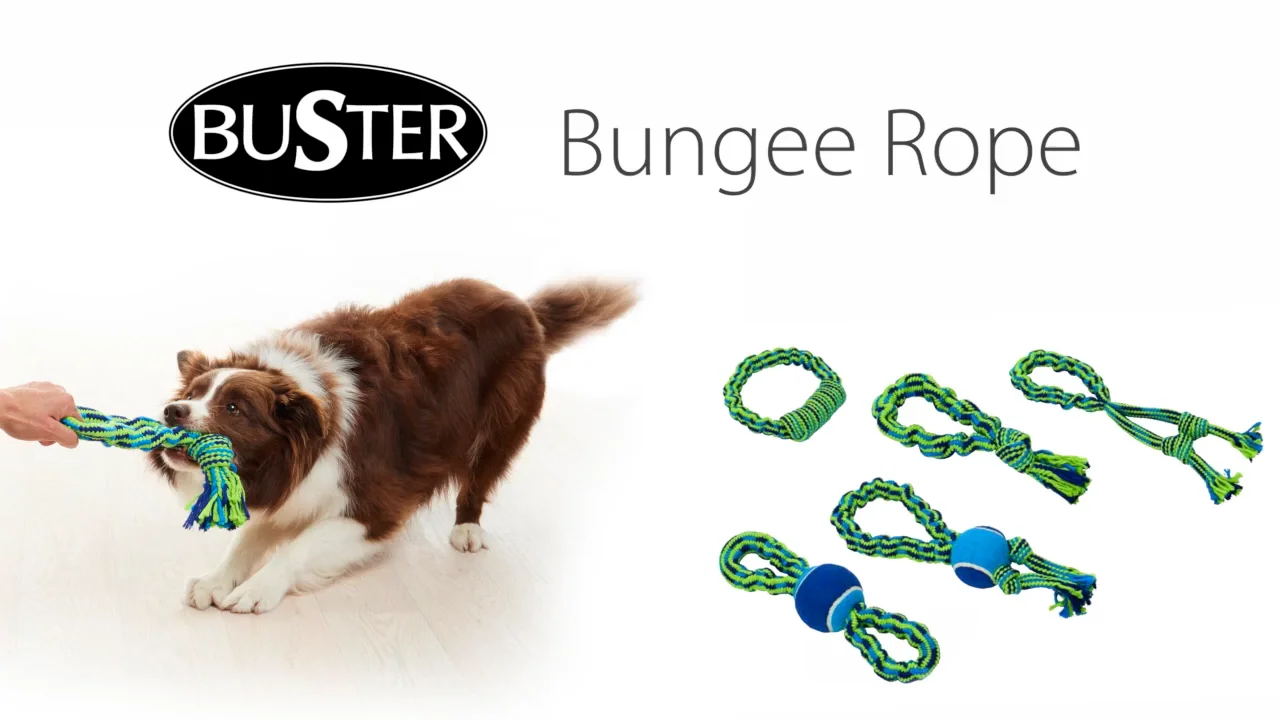 Video to web & download - BUSTER Toys - Bongee Rope.mp4 on Vimeo