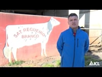 SAT Regueiro Branco (Frades)