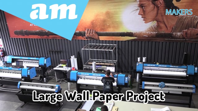 Large Wallpaper Project Printed on Large Format Printer with ECO-Solvent Ink and Applied in Sections