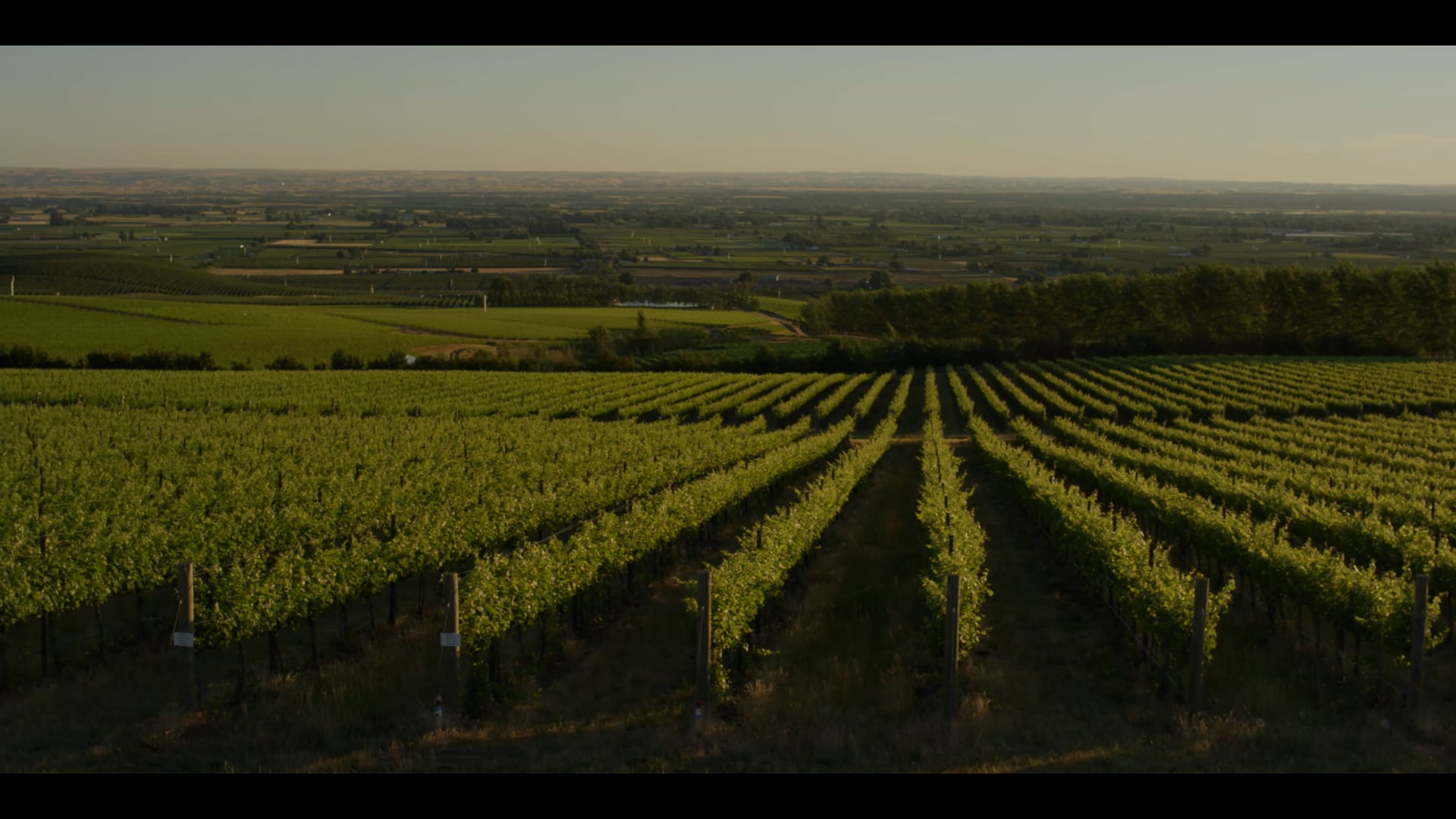 L'Ecole Nº41  - Syrah Heritage