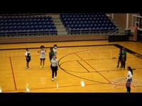 Preview Video #1