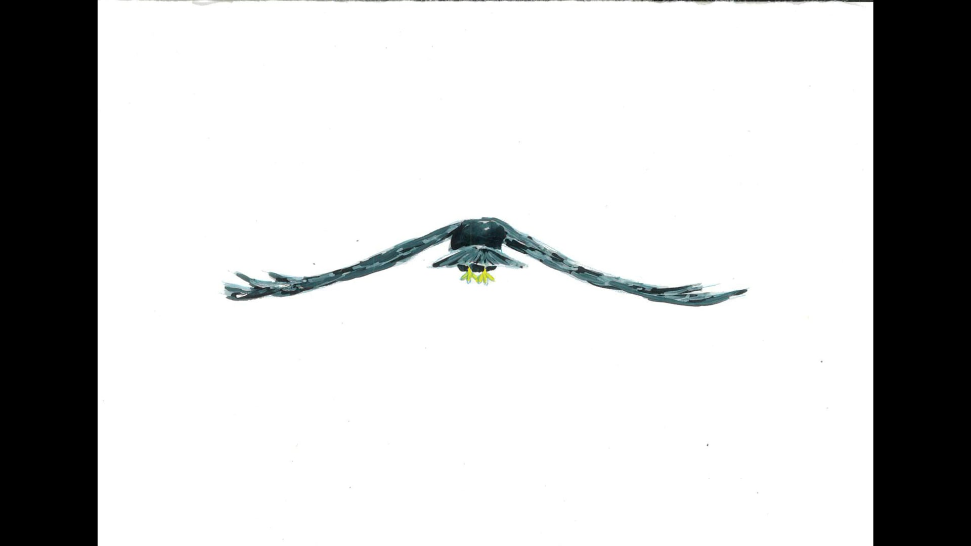 Flying bird