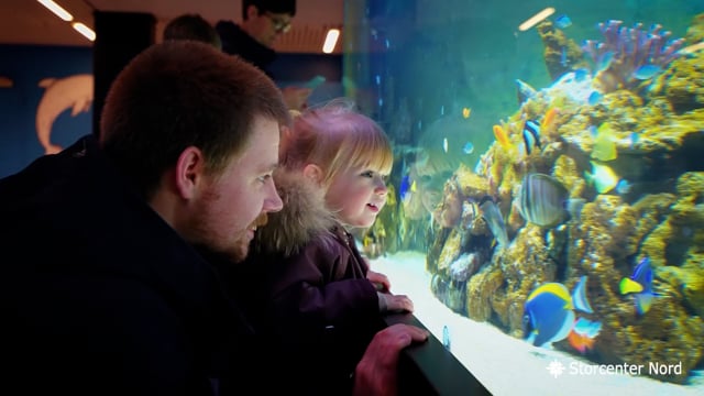 missil græs Hold sammen med Besøg Danmarks største levende koralrevsakvarie i Aarhus | Gratis