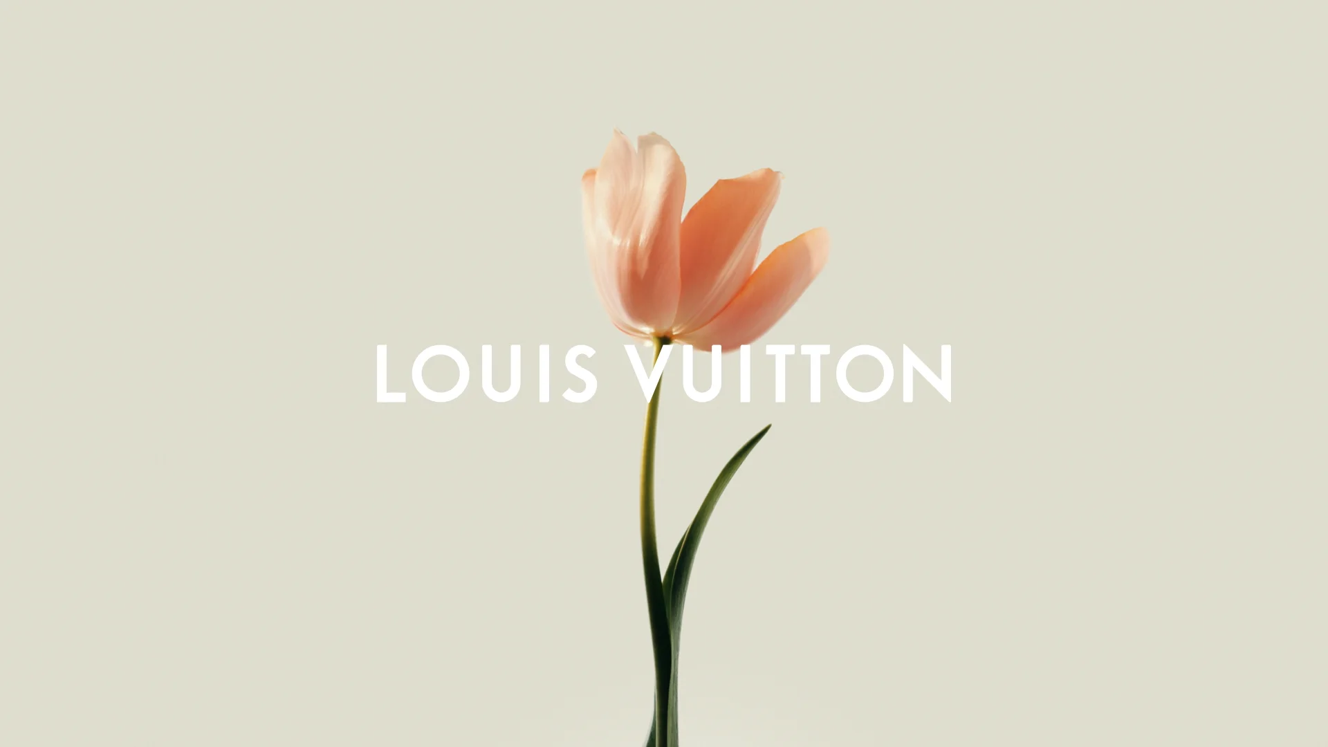 Louis Vuitton launches its FW22 campaign, devoted to Generation V -  HIGHXTAR.