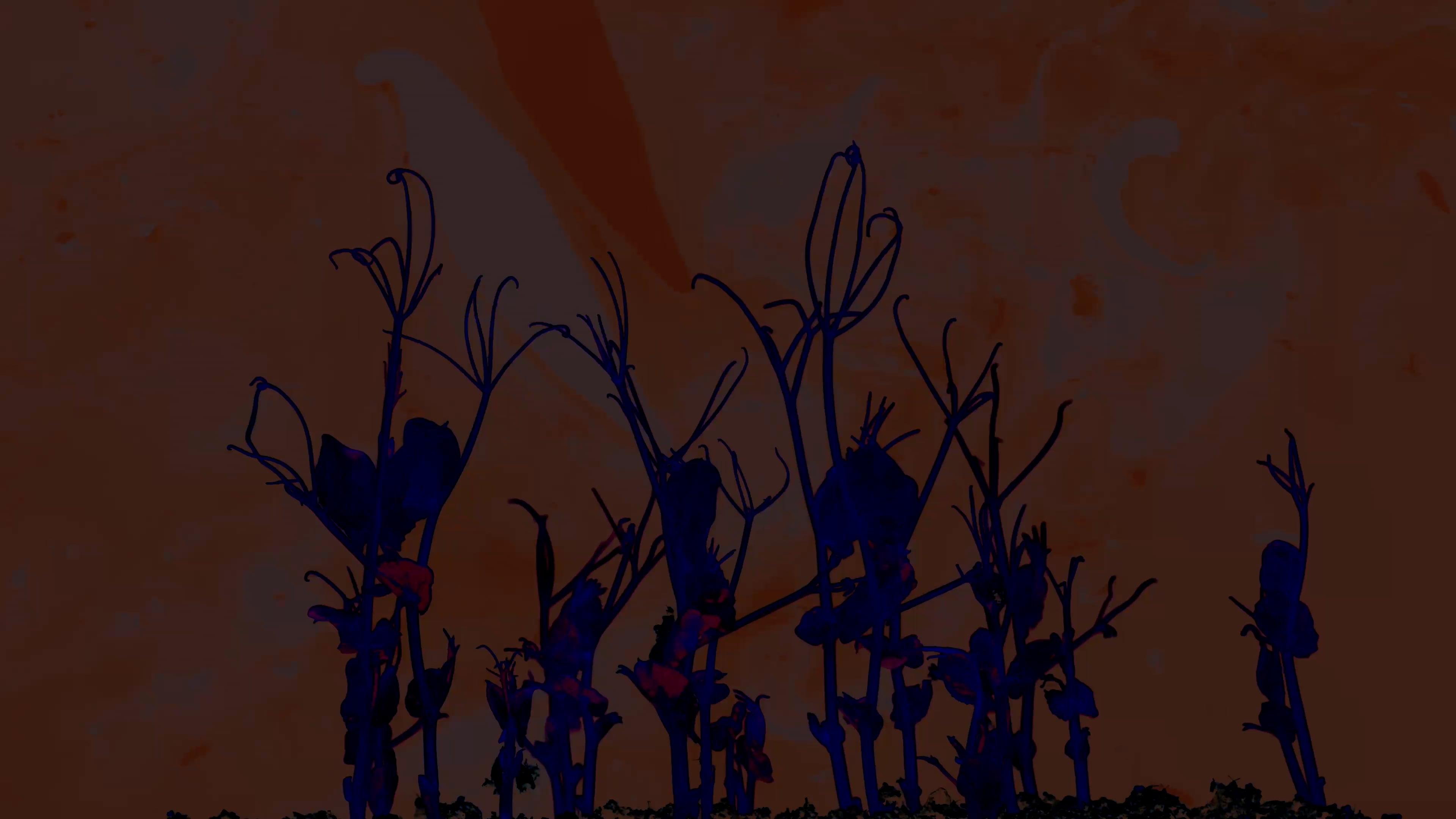 Naja Rosa x Break The Chain on Vimeo