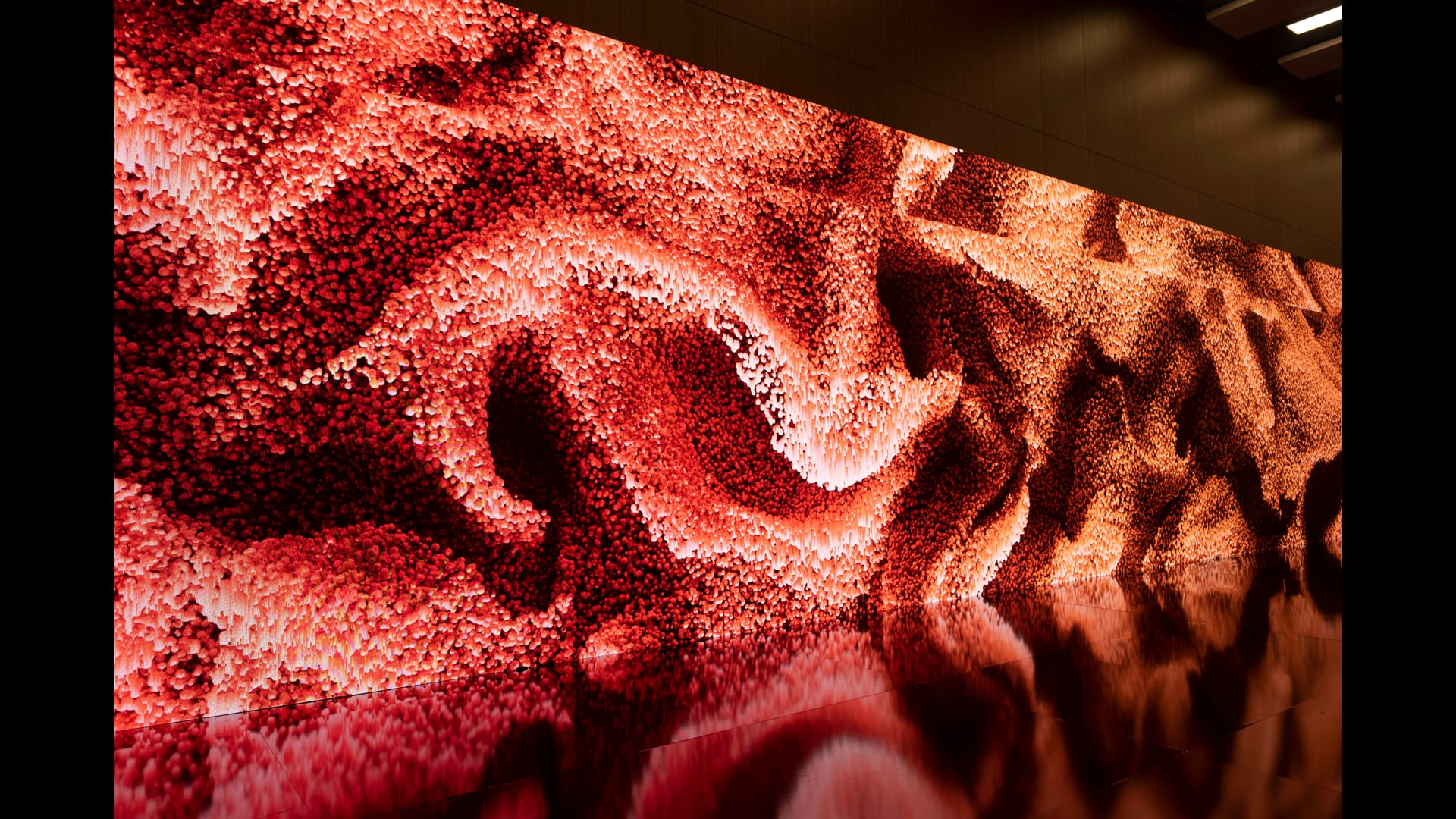 Digital Tunnel Experience