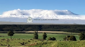 POSTPONEMENT: Puketapu 3A Incorporation - 2020 AGM - Waihi Marae on Saturday 6th March 2021 