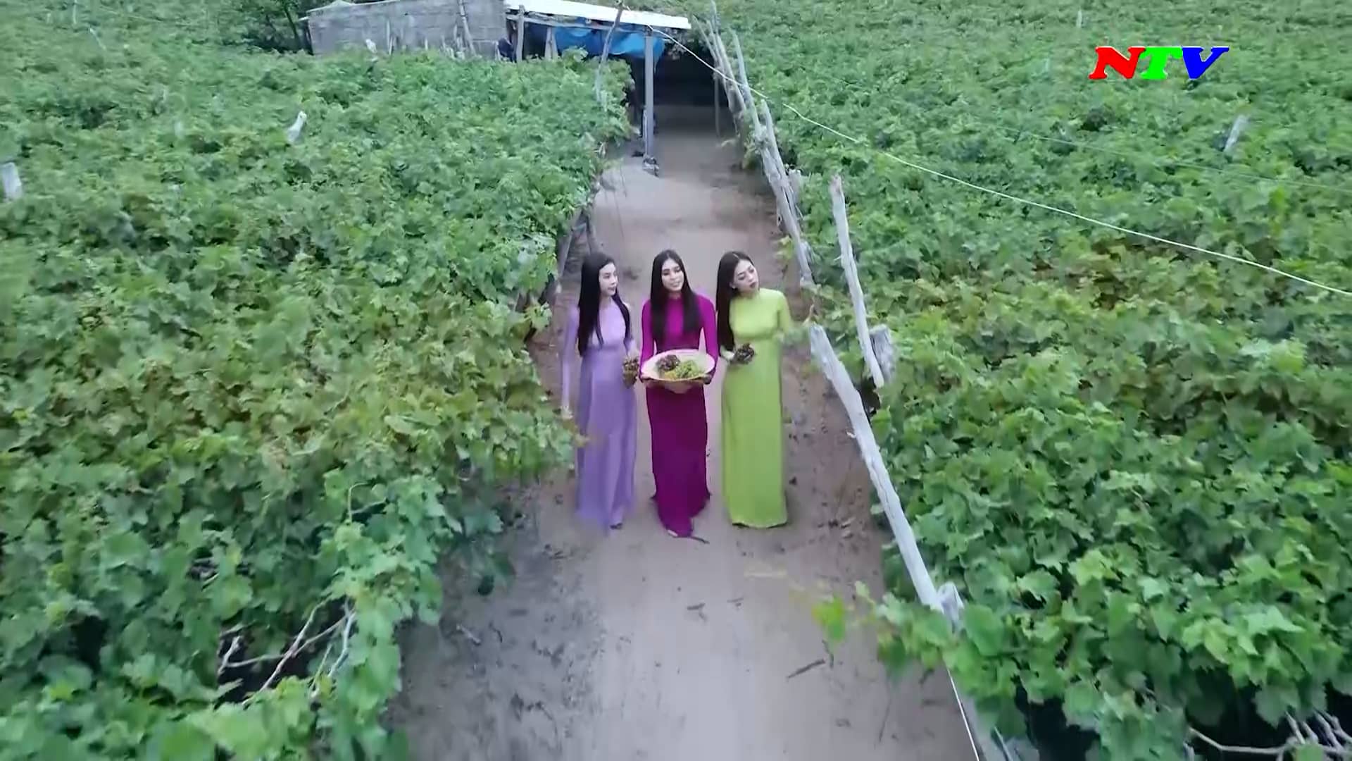 TRAI NGHIEM DU LICH - CHO DEM NINH THUAN on Vimeo