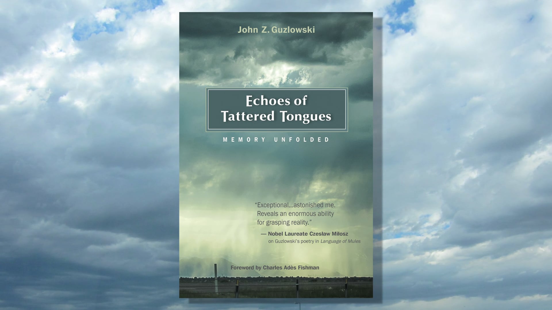 Echoes of Tattered Tongues