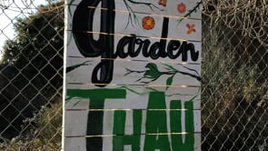 Inaugurem el Garden Thau!