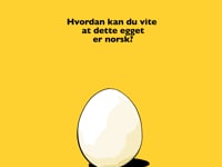 vimeo