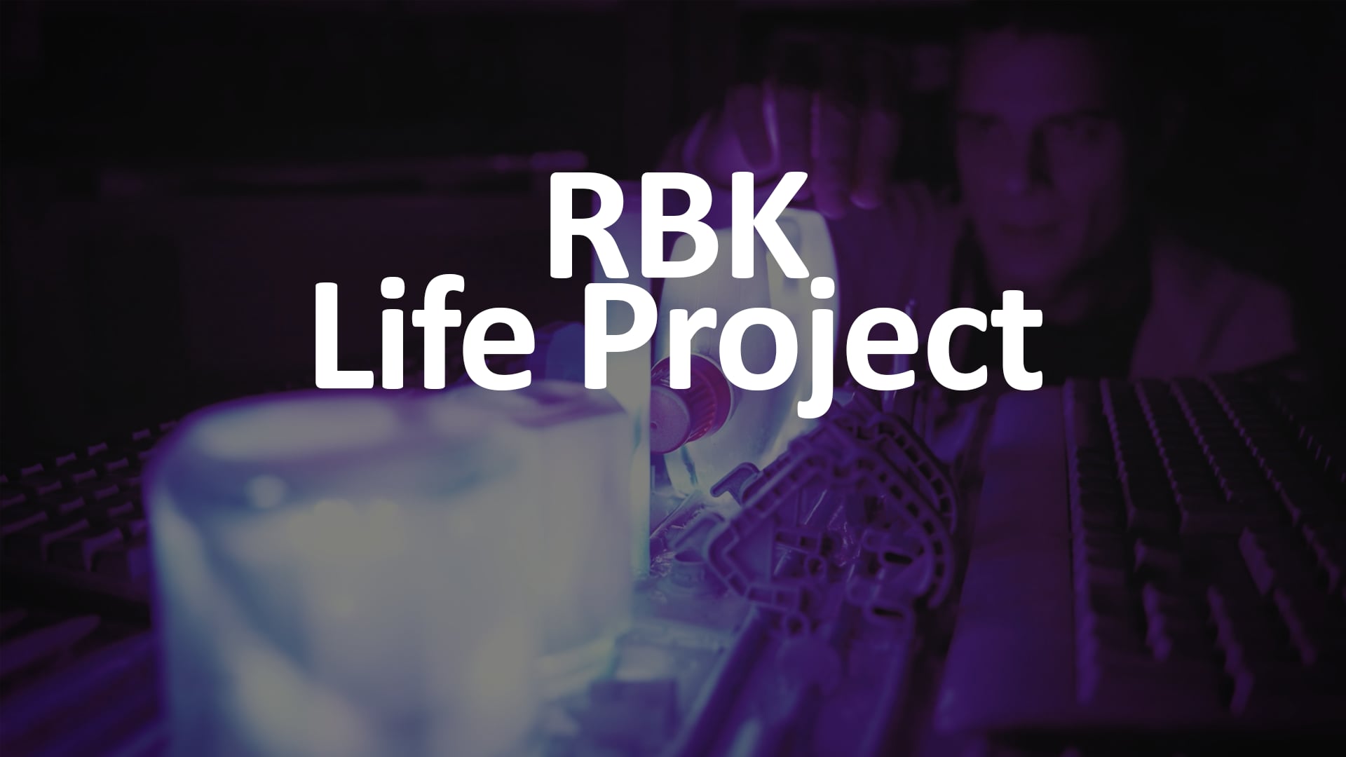 RBK Life Project art installations