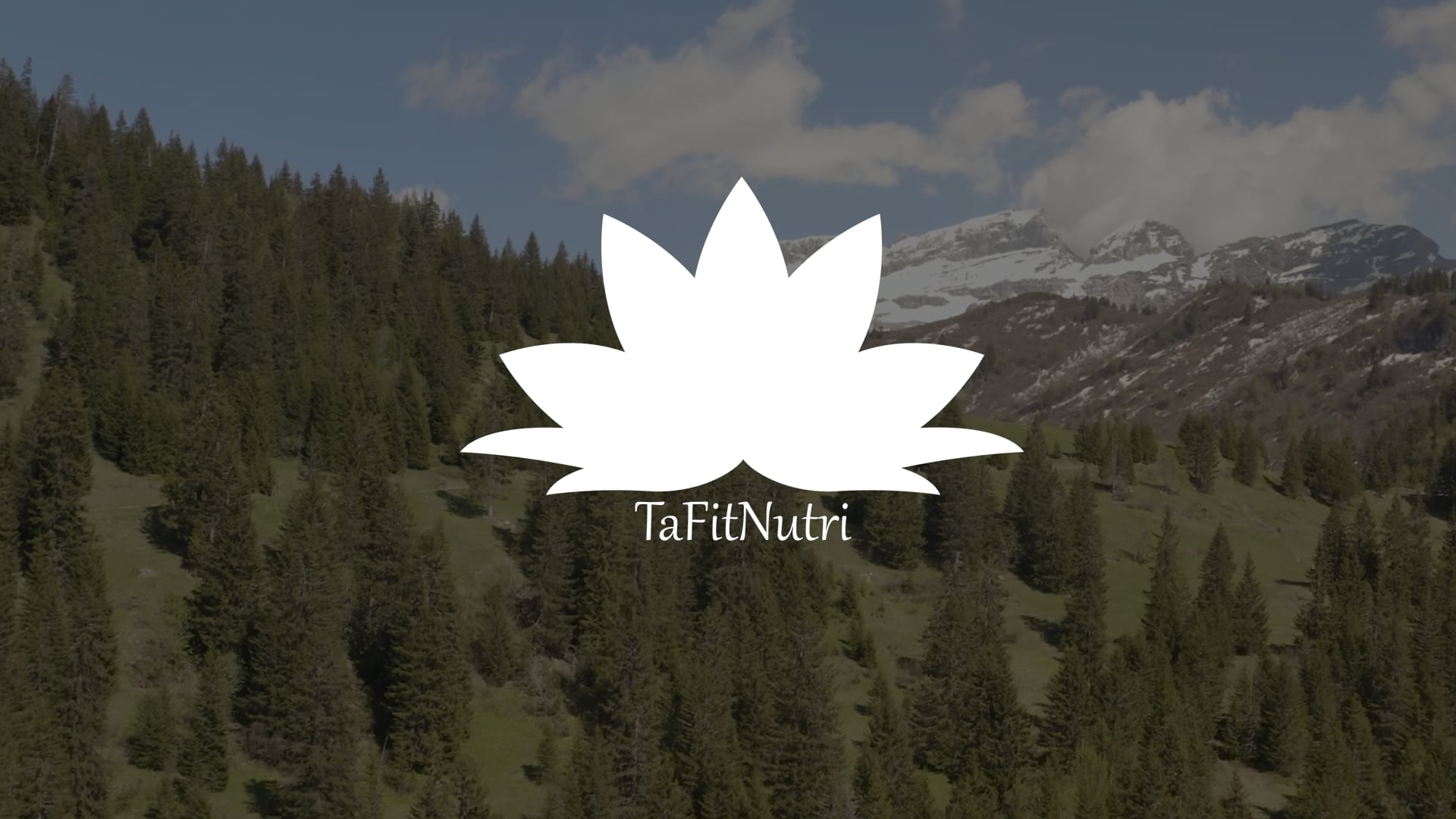 TaFitNutri Comapny inroduction and Products