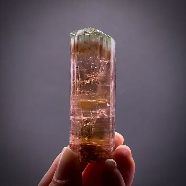 ELBE クリスタル レア クラレンドン ルビー ラウンドコンポート