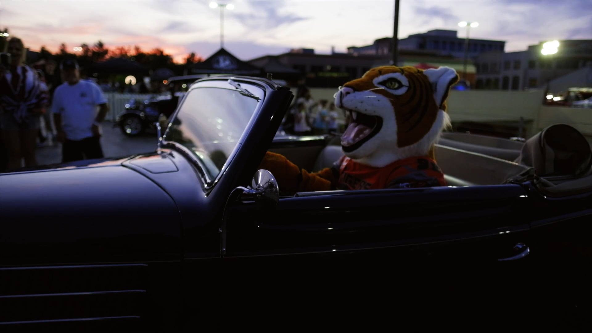 SCVT | cars under the stars