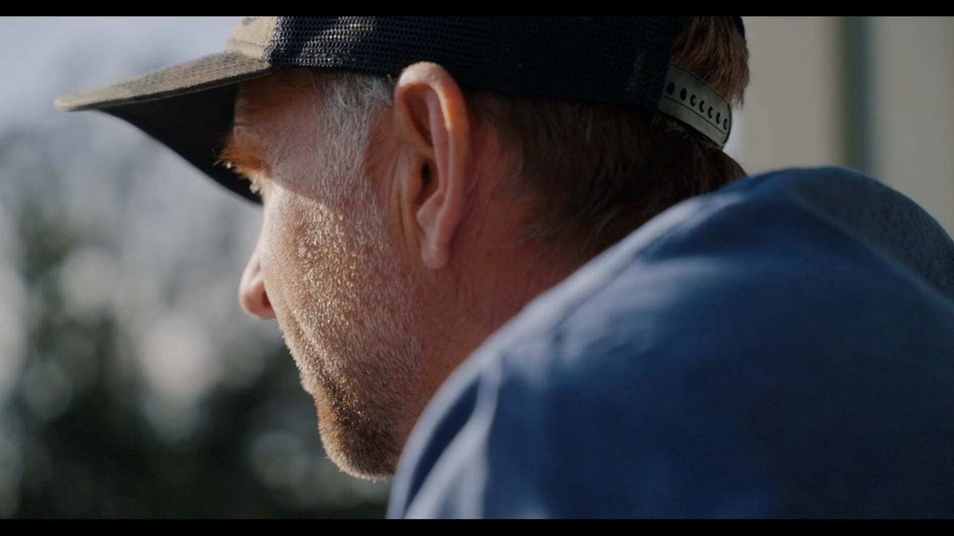 Addressable x The Haugen Group | A Client Success Story