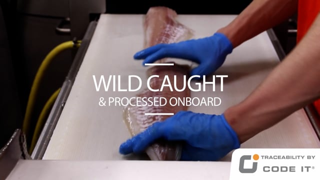 CodeIT Lofotfishing Showreel