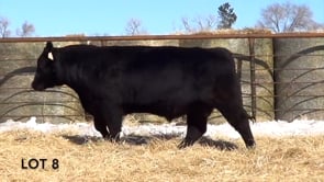Lot #8 - LL RECKON 0195