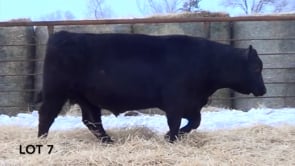 Lot #7 - LL RECKON 0191