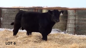 Lot #6 - LL RECKON 0188