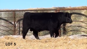 Lot #5 - LL RECKON 0187