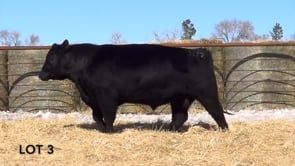 Lot #3 - LL RECKON 0172