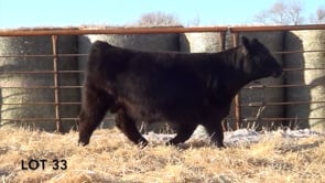 Lot #33 - LL SIDEKICK 1147 ***OUT OF SALE***